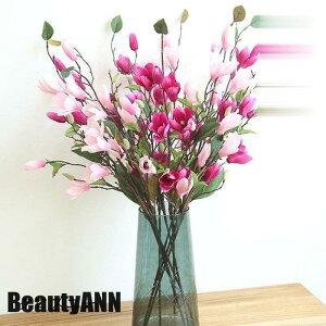 V \[vt[ 5{Zbg  CeA  G i`   ԑ u[P tFCNO[   ԑ ~ ގ ޏ  j v[g Mt