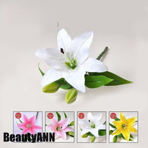 V \[vt[ 4{  CeA  G i`   ԑ u[P tFCNO[   ԑ ~ ގ ޏ  j v[g Mtg z