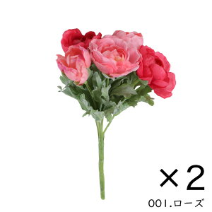 (M) ԁi1jIׂ10F 18`25cm  d    ފ   ͂Ȃ