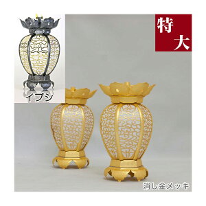 ݓ(݂蓔U) ^J _ybLroCuVdグz  a 12cm 1 UiƂ낤j  d  