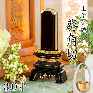 ʔv h up؁i݂jv 3.0(:16cm) h {ʔv hʔv ʔv h ʔv    d ʔv  h 