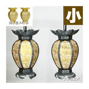 ݓ(݂蓔U) A~ Ėڌ^ ybLorCuVdグz  a8cm 1 UiƂ낤j 