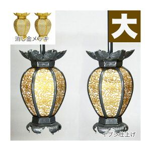 ݓ(݂蓔U) A~ Ėڌ^ ybLorCuVdグz  a10cm 1 UiƂ낤j 