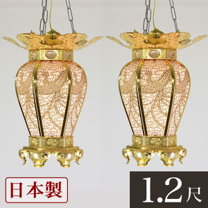 ݓ(݂蓔U) n @^ybLz 1.2 a36cm 1 @p UiƂ낤j  LED {  