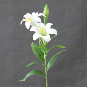 白 ゆり 花の人気商品 通販 価格比較 価格 Com 白 ゆり 花の人気商品 通販 価格比較 価格 Com