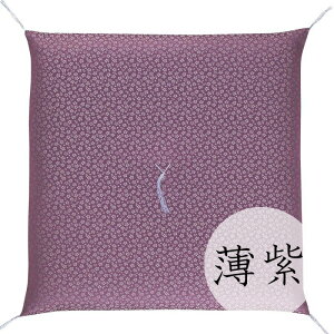 d zc Ozc uav No.53/zc ԗpzc Ozc lpzc @pzc @ V  ZE