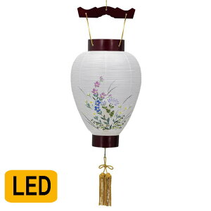 ~ TNF No.7863 (򕌒 LED )/~傤 ~   ~ 򕌒 { Y ~jTCY Mtg _  ݂艺 ~ ݂艺