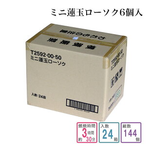 [\N ~j@ʃ[\N 6 1P[Xi144j XC 낤 P[X  ܂Ƃߔ Ɩp @p