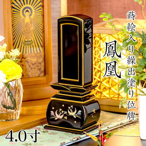 ʔv _ GJoʔvuPihjv4.0(:20.4cm) Ԉʔv ܂ Joʔv o ق   ʔv   ʔv