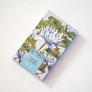  ԕ u[XC ƒp VipXpCV[ȍ