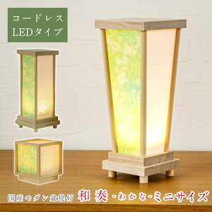 ~ _ at(킩) ~jTCY R[hX LED ~傤 ~  ~ { Ɩ a a ~jTCY Mtg    