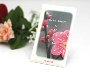 yԂ TVFz ~y[֑ΉzyyMt_z