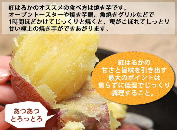 楽天市場】紅はるか 訳あり 10kg 箱込 内容量9kg+補償分500g 送料無料 生芋 さつまいも 熊本県産 べにはるか サツマイモ 焼き芋に 芋 いも : 熊本グルメマーケット 楽天市場店 楽天市場】紅はるか 訳あり 10kg 箱込 内容量9kg+補償分500g 送料無料 生芋 さつまいも 熊本県産 べにはるか サツマイモ 焼き芋に 芋 いも : 熊本グルメマーケット 楽天市場店