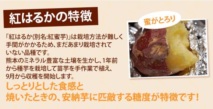 楽天市場】紅はるか 訳あり 10kg 箱込 内容量9kg+補償分500g 送料無料 生芋 さつまいも 熊本県産 べにはるか サツマイモ 焼き芋に 芋 いも : 熊本グルメマーケット 楽天市場店 楽天市場】紅はるか 訳あり 10kg 箱込 内容量9kg+補償分500g 送料無料 生芋 さつまいも 熊本県産 べにはるか サツマイモ 焼き芋に 芋 いも : 熊本グルメマーケット 楽天市場店