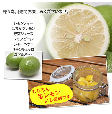 レモン送料無料訳あり2kg熊本県産