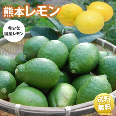 レモン送料無料訳あり2kg熊本県産