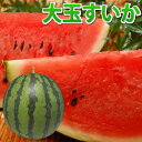【エントリーで5倍】すいか 送料無料 大玉スイカ 熊本県産 ご自宅用 訳あり 西瓜 1玉 約5kg~6kg