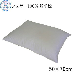 zedl H 50×70cm X[tFU[100% ]Fuwari 炩n[h 唻 Pi