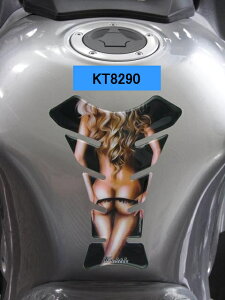 y[֑EszKT8290@Keiti ^Npbh CBR600RR CBR250RR CBR400RR