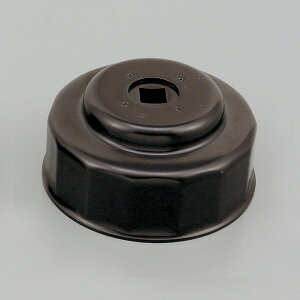  DAYTONA (44295) fCgi ICtB^[` HARLEY/n[[p