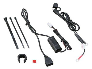  93039 DAYTONA oCNpd2.1A USB1|[g