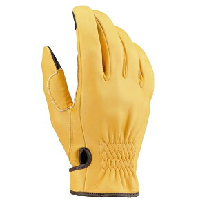  96820 fCgi HBG-037 DKJbgV[g U[O[u L ^b`plΉ XLTCY