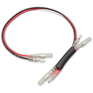  25700 fCgi 񂽂don[lX (oꏊ:[^[n[lX̃M{V) Rebel250('20-'21)