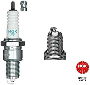 ���y���[���֑��������E����s�z���{���ꓩ�� NGK�v���O 5422 BR8ES ��ʃv���O �����` �^�[�~�i���t 1�{