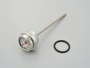  93260 fCgi Daytona KEDO RRfBbvXeBbNv zCgpl SR400/400FI/500