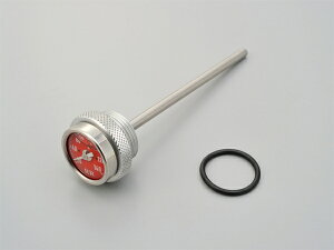  93262 fCgi Daytona KEDO RRfBbvXeBbNv bhpl SR400/400FI/500