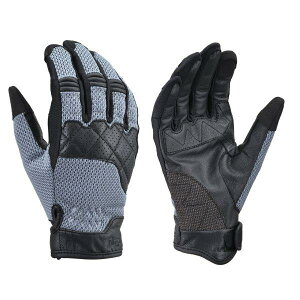  46118 fCgi Daytona DG-010 p`OU[ X[obN bVO[u X}zΉ t ̂Ђ{v(Mv) O[ XLTCY
