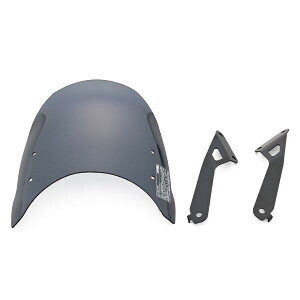 �� 46261 �f�C�g�i Daytona Aerovisor�i�G�A���o�C�U�[�j�X�N���[�� �X���[�N GB350C('24)