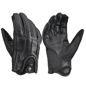 61777 fCgi Daytona DG-021 h[~[U[O[u v(Mv) ~ďHt X}zΉ Xibv{^ uE LTCY