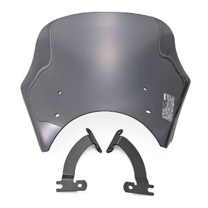 61762 fCgi Daytona Blast Barrier uXgoA[ XN[ X[N W230 ('25) OS1 ('25)