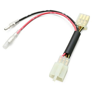 61857 fCgi Daytona 񂽂don[lX V[gp W230 ('25)