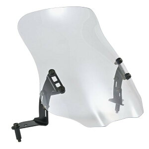 62235 fCgi Daytona RSV[Y EChV[h XN[ Nvo[t O NA[ PCX/160 ('25)p