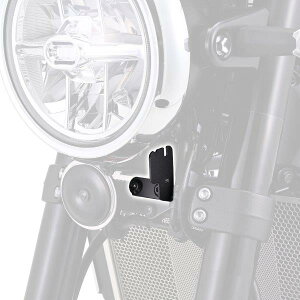 39595 fCgi Daytona hCuR[_[tLbg don[lX M760D / M820WDp IvVi Z900RS