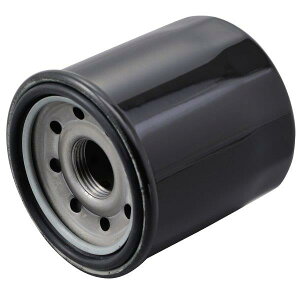  35206iPiԍ98739j fCgi F-21 vCXICtB^[ Ɩp10 JTLn Z900RS