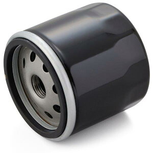 35021 fCgi Daytona vCX ICtB^[ J[gbW Ɩp10 ʂNoFF-23 DUCATIn