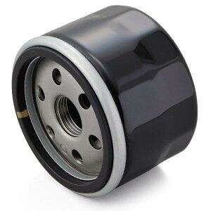 35033 fCgi Daytona vCX ICtB^[ J[gbW Ɩp10 ʂNoFF-25 BMWn