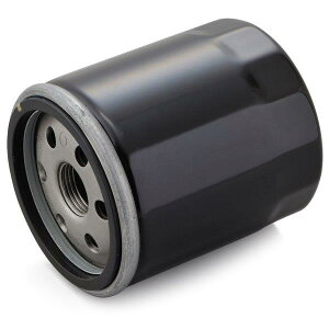 35041 fCgi Daytona vCX ICtB^[ J[gbW Ɩp10 ʂNoFF-27 HARLEY DAVIDSONn