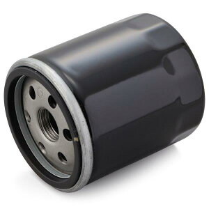 35046 fCgi Daytona vCX ICtB^[ J[gbW Ɩp10 ʂNoFF-28 HARLEY DAVIDSONn