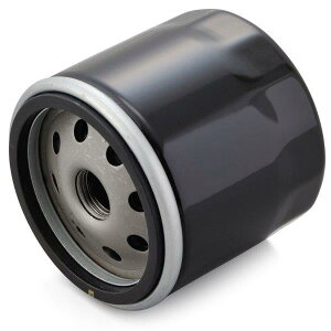 35096 fCgi Daytona vCX ICtB^[ J[gbW Ɩp10 ʂNoFF-29 HARLEY DAVIDSONn