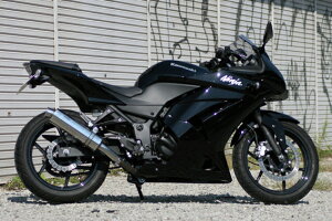 ACY }t[ 507-so-003-02 Aria XeXTypeS Ninja250R