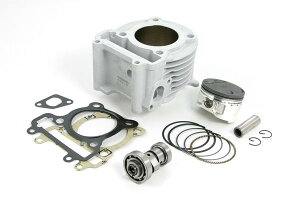   TAKEGAWA 01-05-4474 SXe[W{AAbvLbg156cc CYGNUS-XECYGNUS-X(FI)