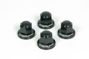   TAKEGAWA 06-06-0010 ANbV}Egibg(v[)(ubN) L[EJuEDAXENXJuEL[125