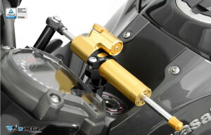 DIMOTIV di-dmk-ka-21 �X�e�A�����O�_���p�[�}�E���g�L�b�g HYPERPRO�p Z900