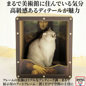 yJPPMAF؁z΂̒܂ƂnEX Yn L i{[ nEX ܌ Lbg  {bNX VRf XgX 킢 x XNb`[ LnEX   v MS