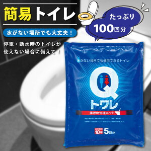 ȈՃgC Qg 100 Yn