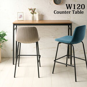 JE^[ e[u 120cm  120×40 120 s40 85 uE ubN VR C pC ACA nCe[u Lb` _CjO o[ Ƒ  Vv B